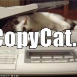 Students: copycat, sort of